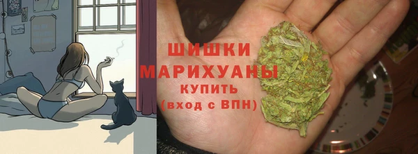 ECSTASY Абаза