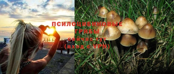 прущая мука Абдулино