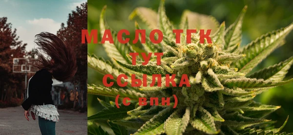 ECSTASY Абаза