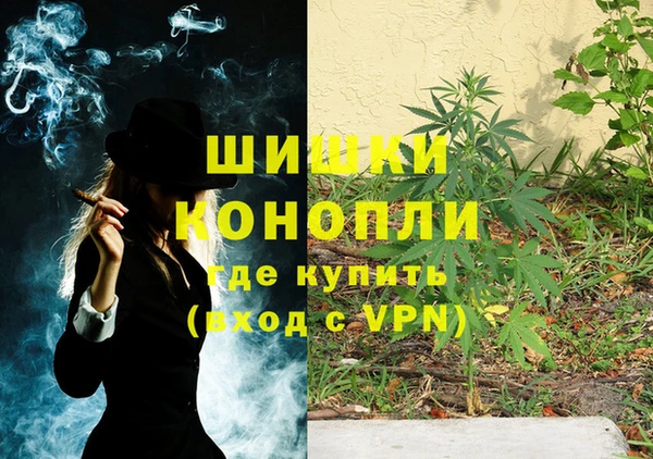 ECSTASY Абаза