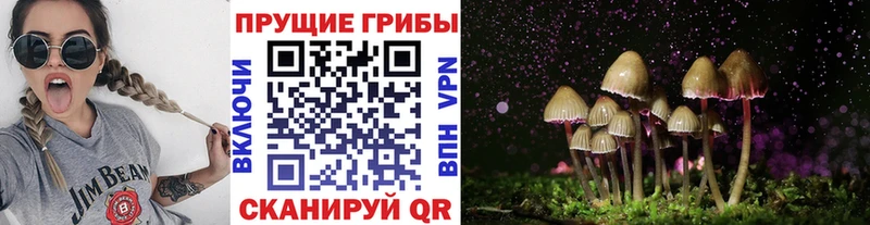 где купить наркоту Хадыженск Галлюциногенные грибы прущие грибы